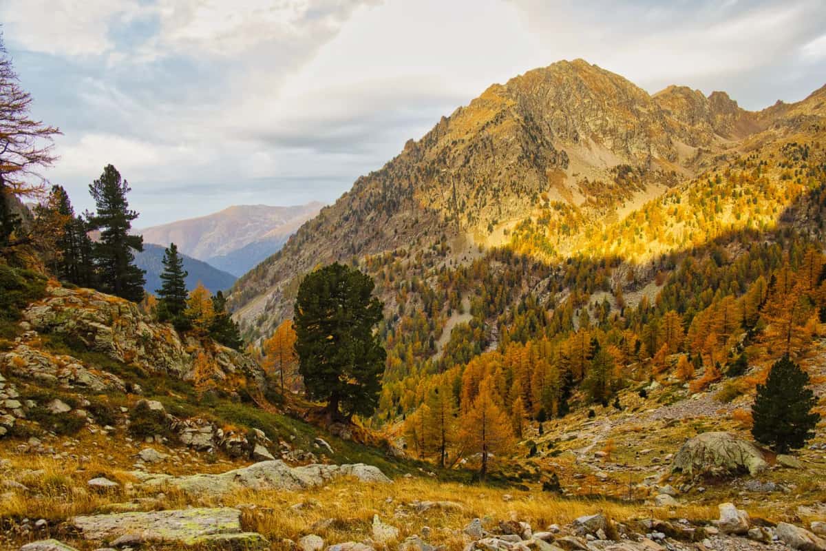 Vallée pyrénéenne aux mélèzes dorés en automne, versants calmes et lumière basse