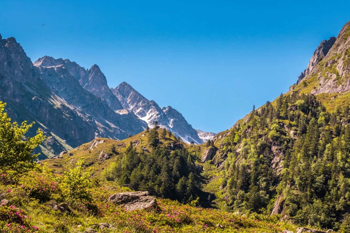 Versant boisé d'une vallée pyrénéenne