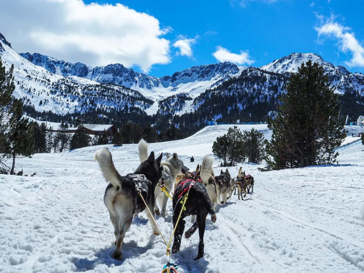 Assurance santé pour les résidents en Andorre